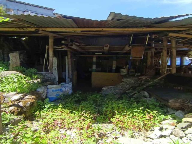 place photo 22