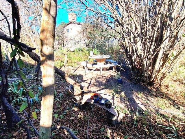 place photo 14