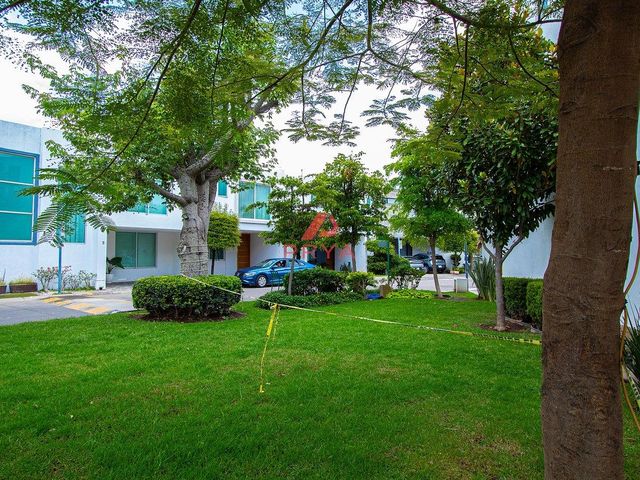 place photo 40