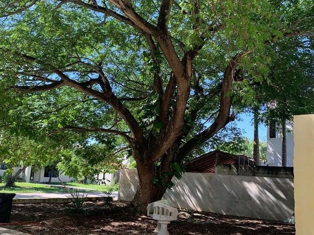 place photo 33