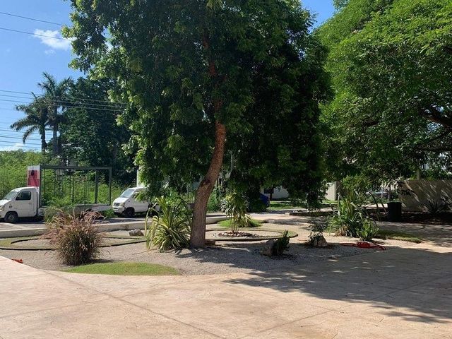 place photo 32