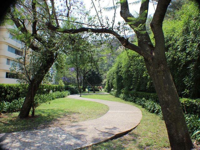 place photo 31
