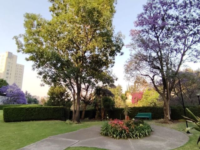place photo 33