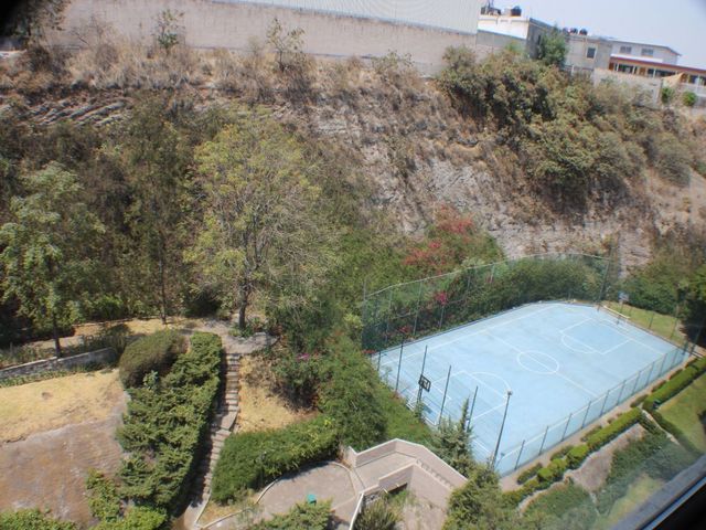 place photo 26