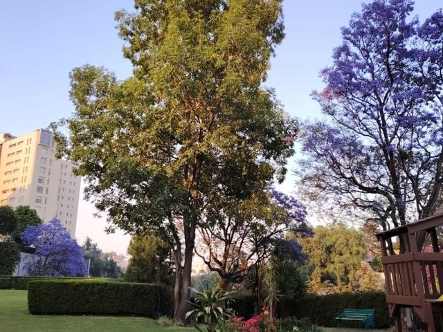 place photo 34