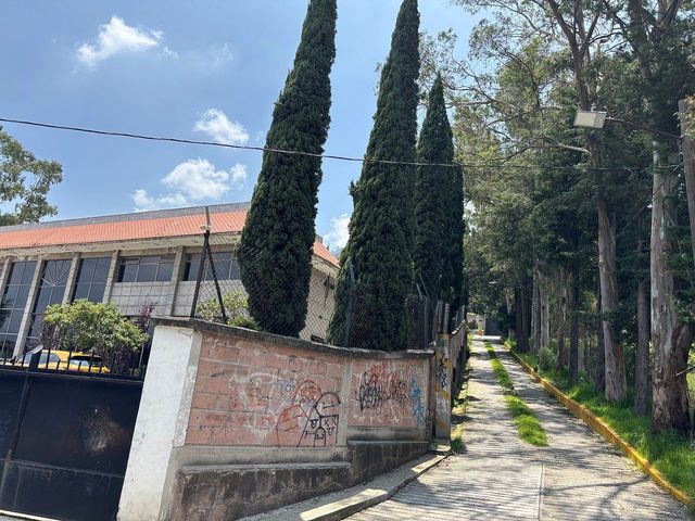 place photo 37
