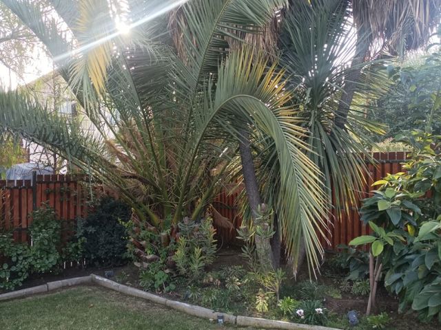 place photo 27