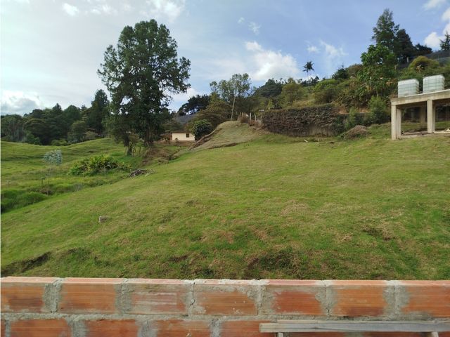 place photo 51