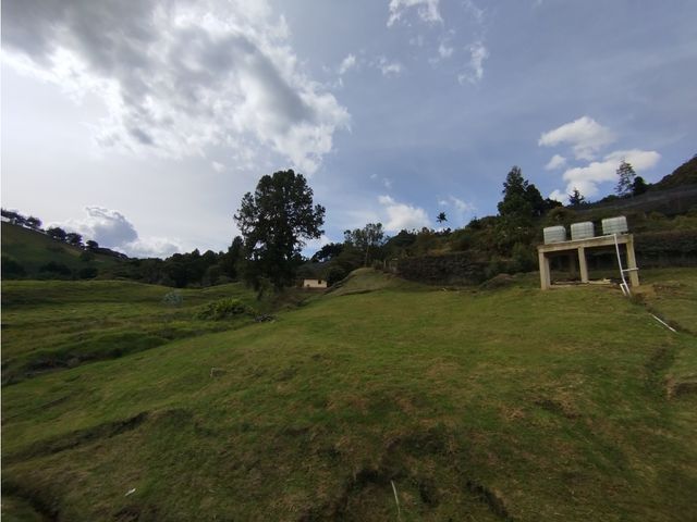 place photo 52