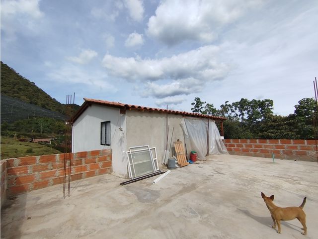 place photo 49
