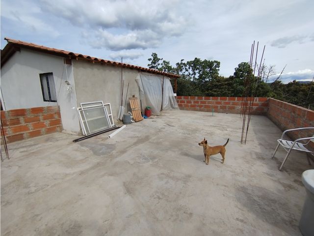 place photo 50