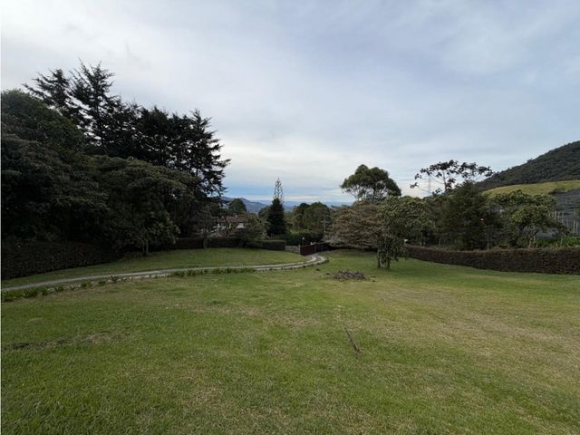 place photo 59