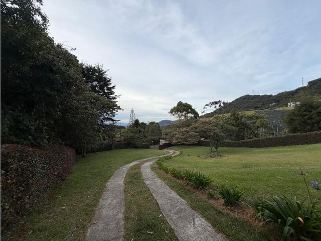 place photo 61