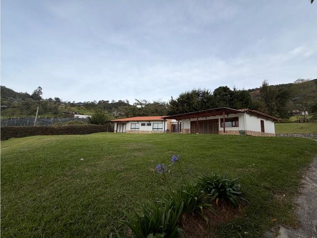 place photo 60