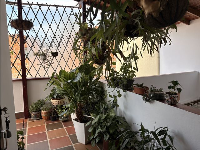place photo 19