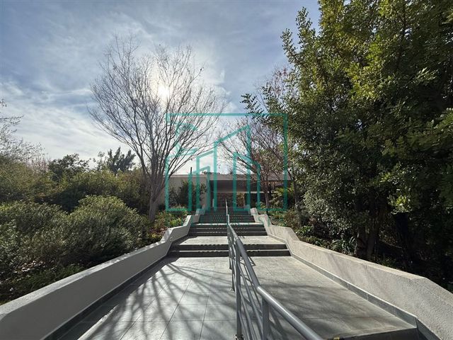 place photo 59