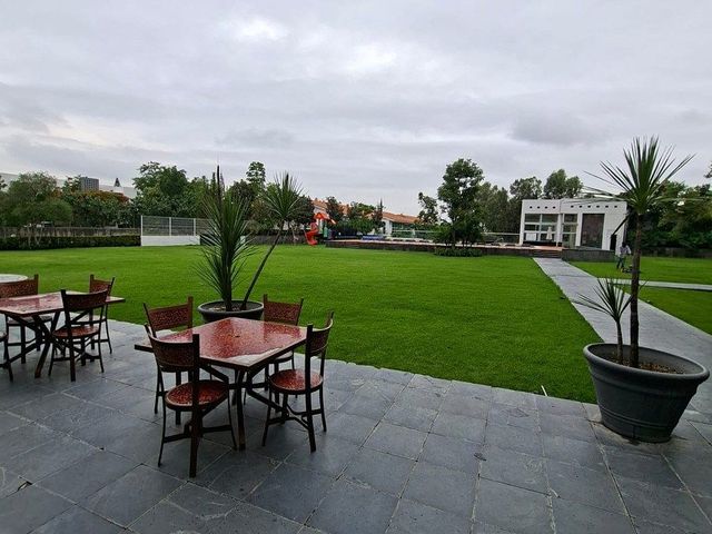 place photo 39