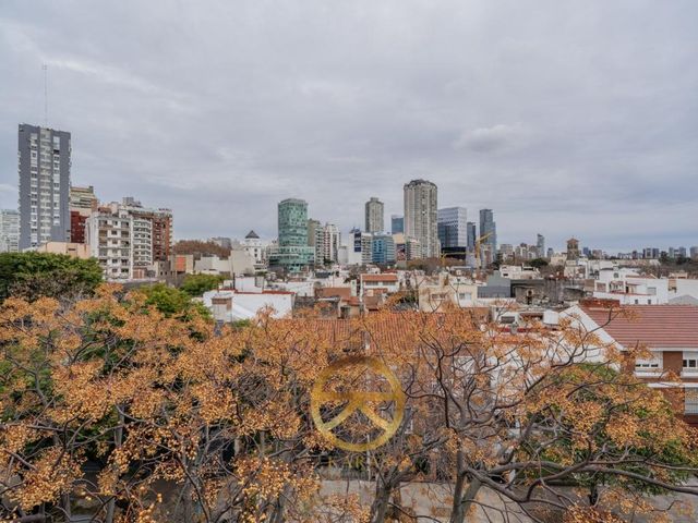place photo 42