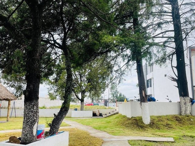 place photo 32