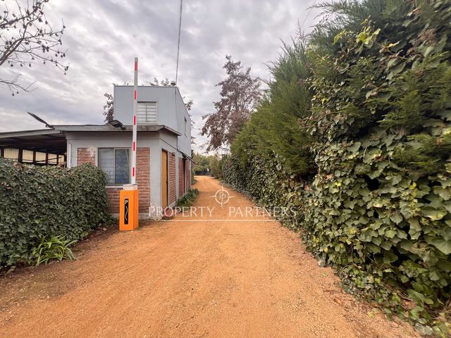 place photo 49