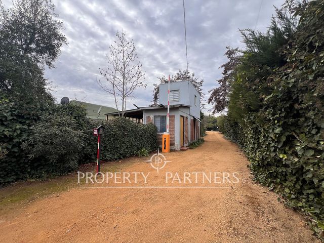 place photo 31