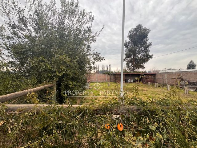 place photo 40
