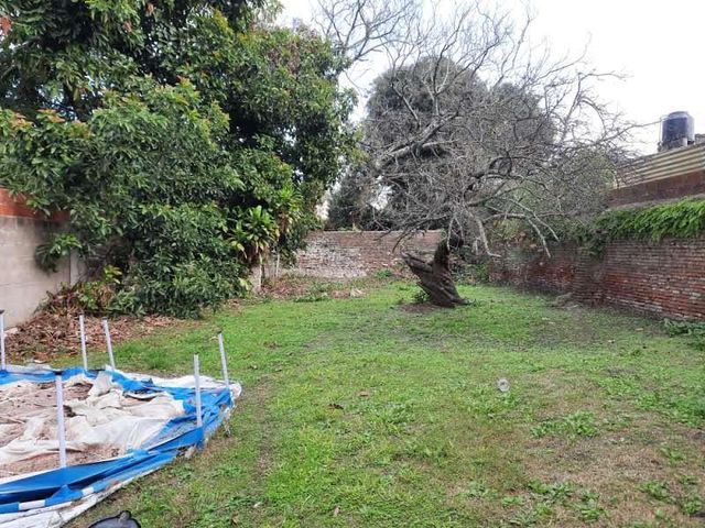 place photo 15