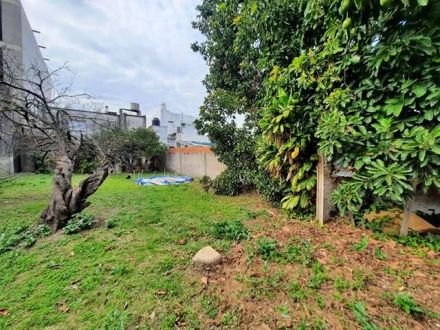 place photo 18