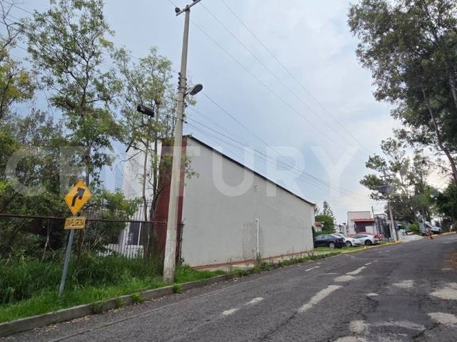 place photo 14