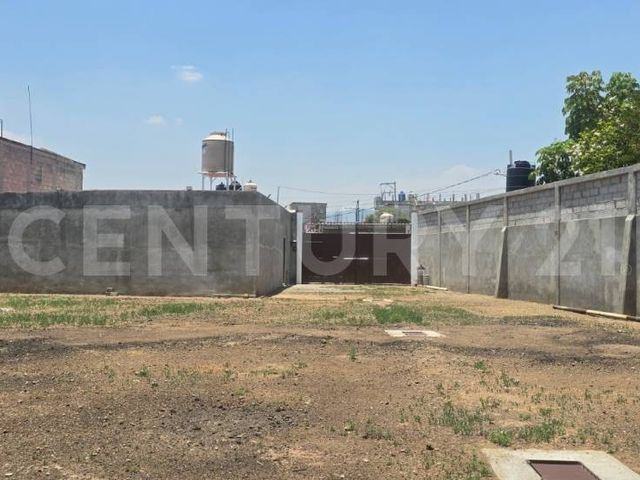 place photo 22