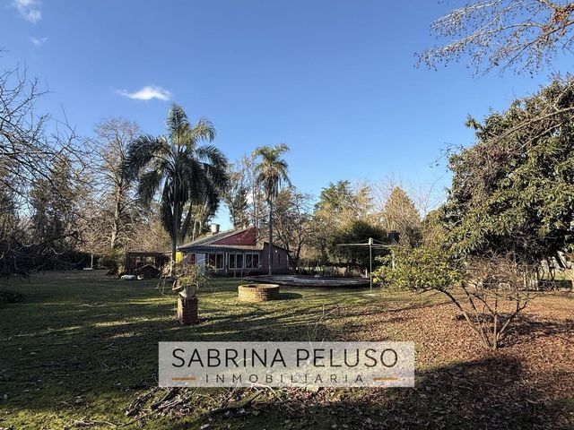 place photo 13