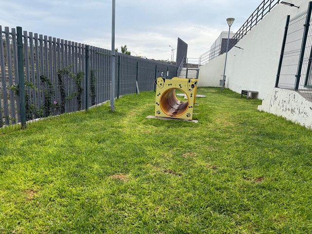 place photo 23