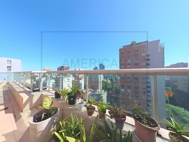 place photo 44