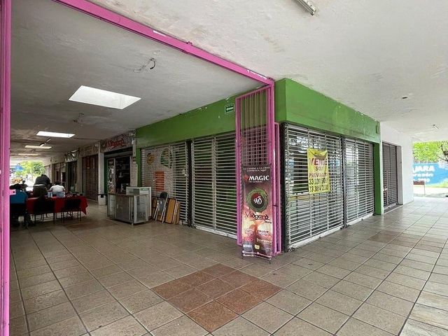 place photo 10