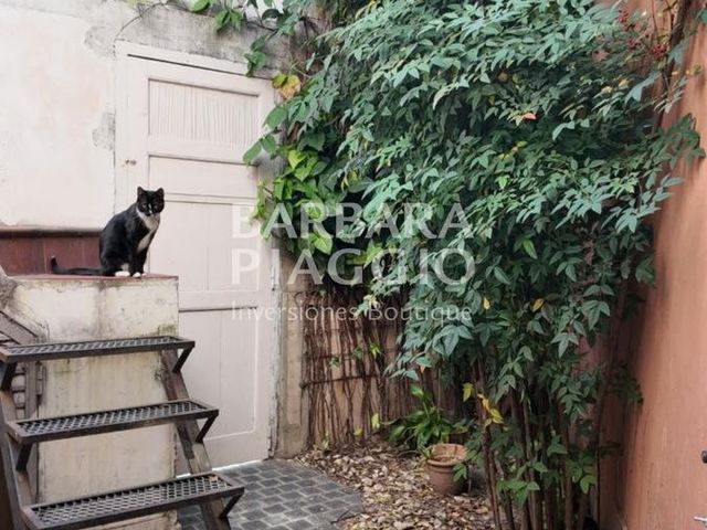 place photo 27
