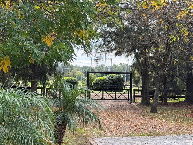 place photo 65