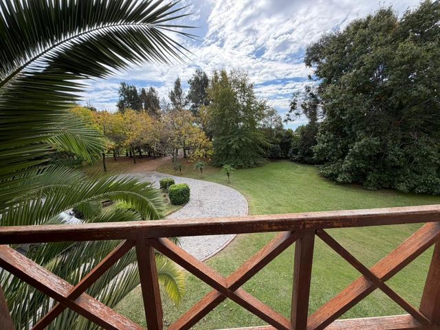 place photo 41