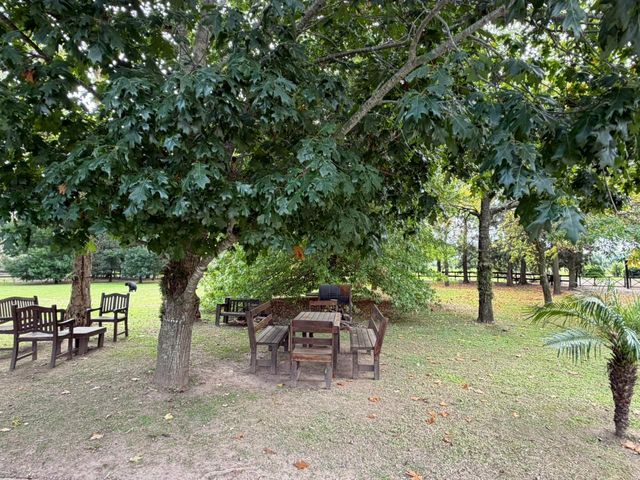 place photo 53