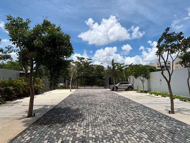 place photo 34