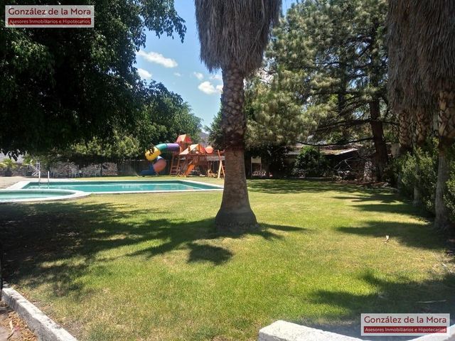 place photo 24