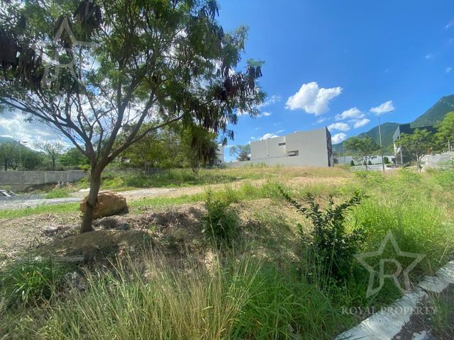 place photo 24