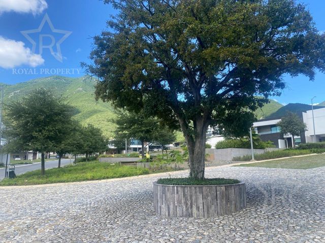place photo 27