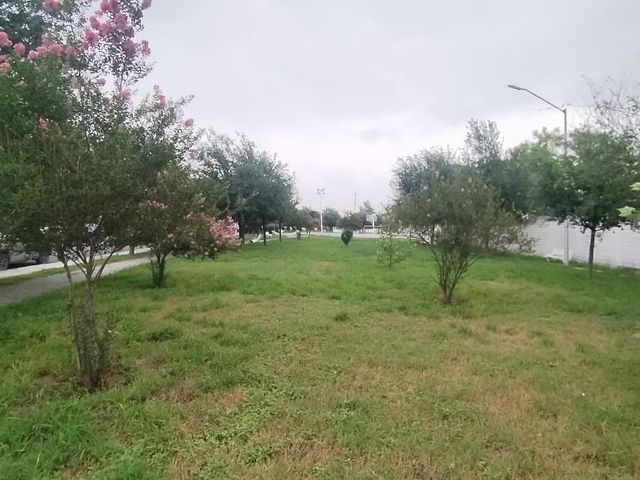 place photo 32