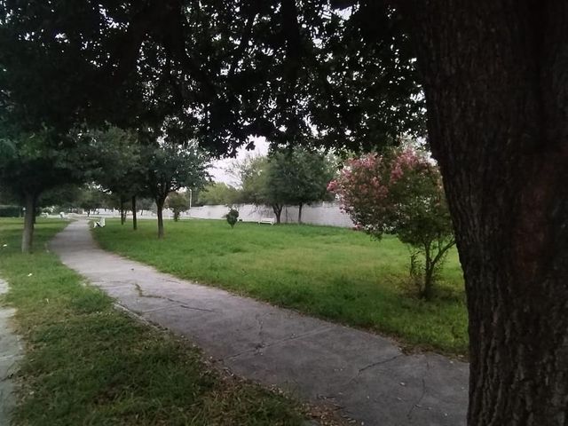 place photo 31