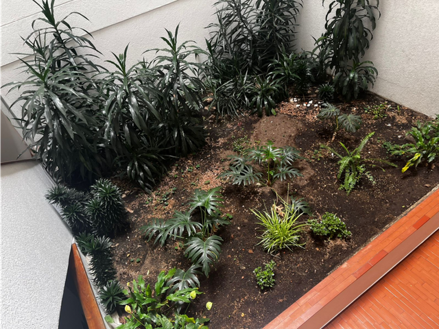 place photo 19