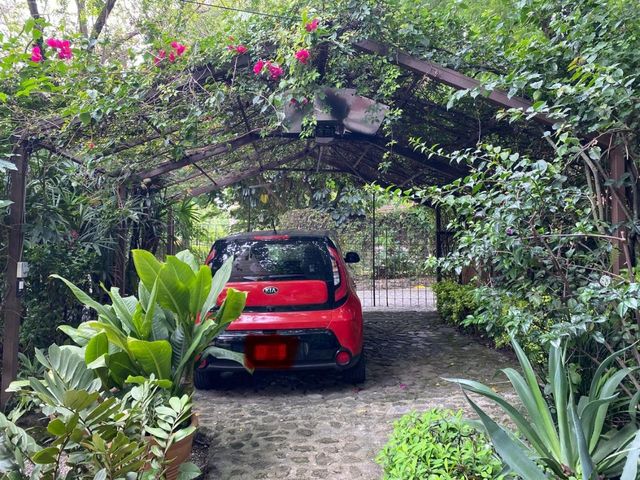 place photo 26