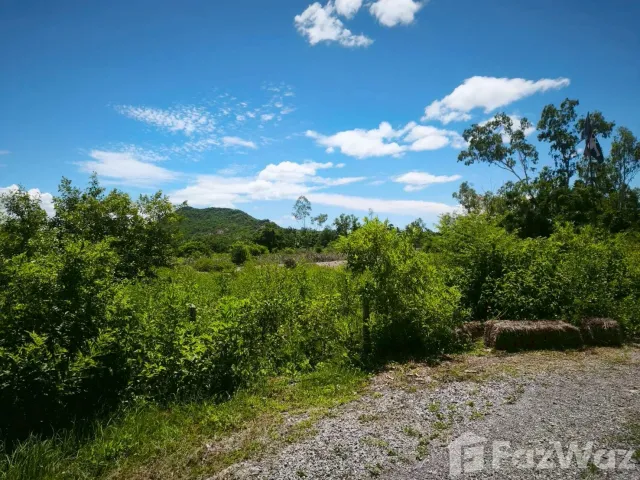 place photo 50