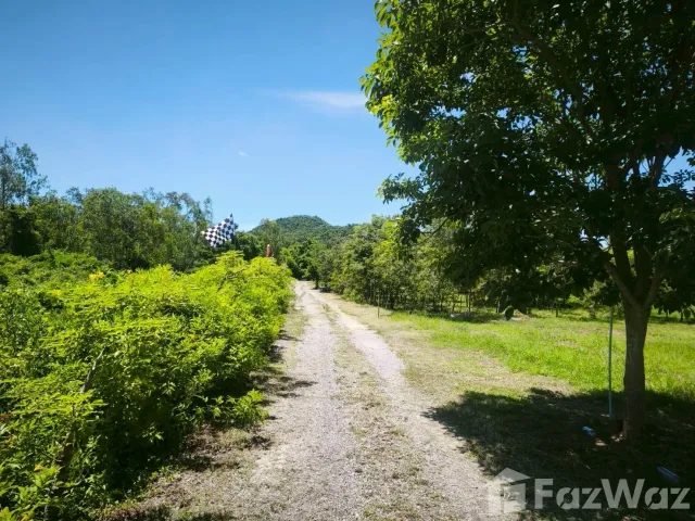 place photo 43