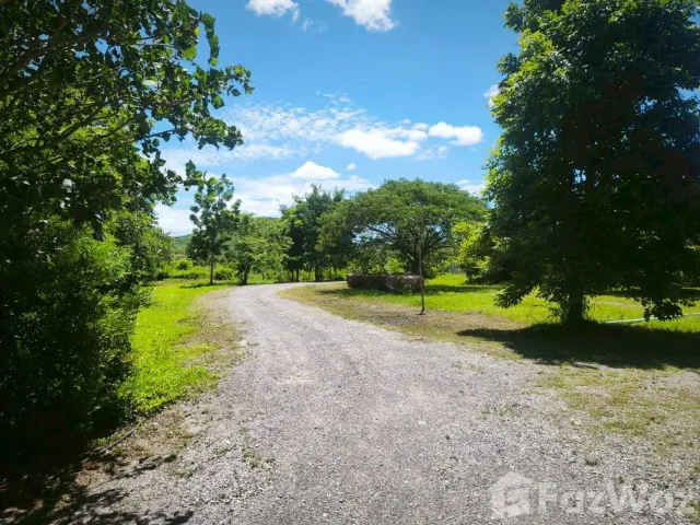 place photo 53