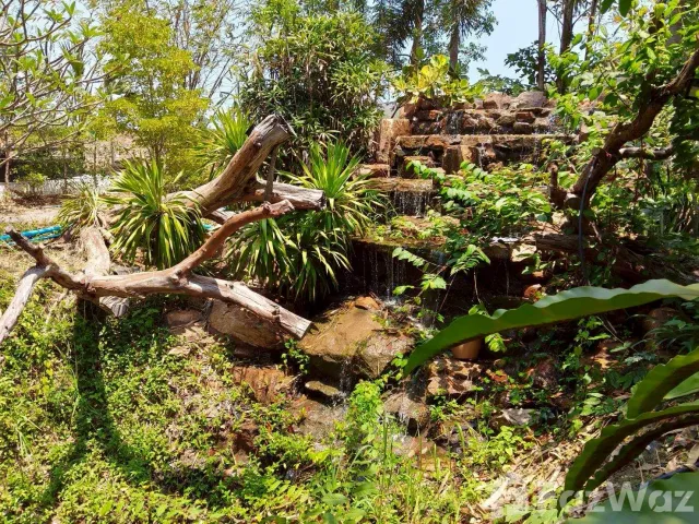 place photo 34